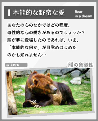 夢の中の熊bear